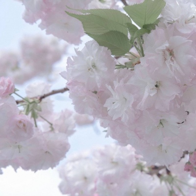 前郭尔罗斯FurryQQ群介绍